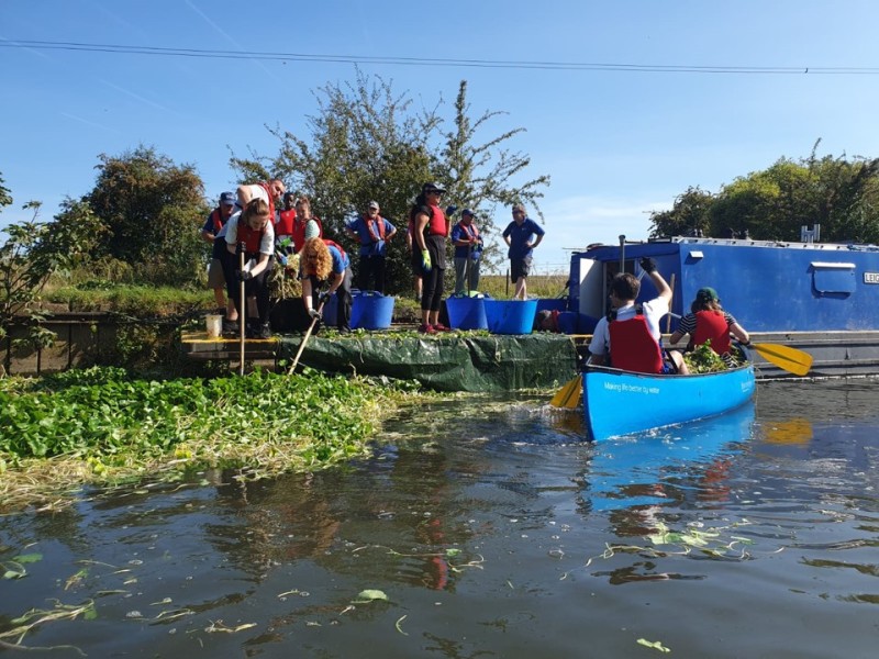 Example of canal works as part of Invasive Species Week. A group of people with canoes pulling an invasive plant from a canal.