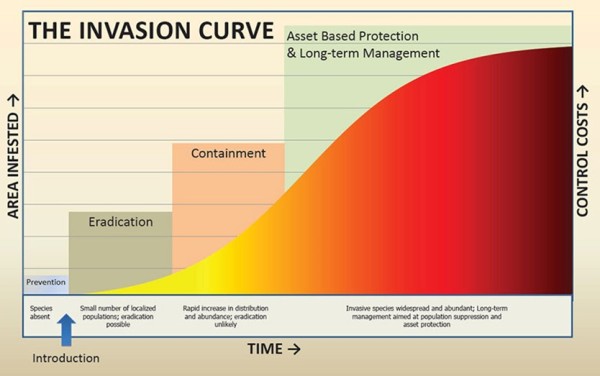 A graph showing the increase in area infested by invasive species increasing over time, and control costs increasing with this, 