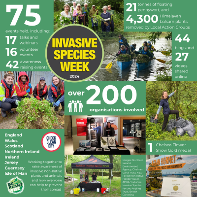 Montage of photographs of volunteers posing with invasive plants they have removed, by pop up awareness stands, and in boats carrying floating pennywort. The image contains text summarising highlights of Invasive Species Week which is included in the text below the image.
